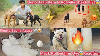 Mack Ko Dekhne Gye🐶Reaction😍 Finally Fancy Pigeon N Breeding Krde🥚🕊️ Rock Chotapacket Ek Sath🔥 [upl. by Noislla]