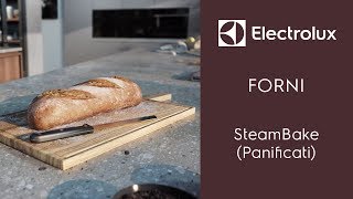 Forni Electrolux SteamBake [upl. by Rodolphe]