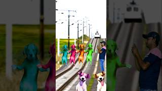 Cameraman capture dog dance video on track stop the traintrendingshortsfeedcute [upl. by Anitak]