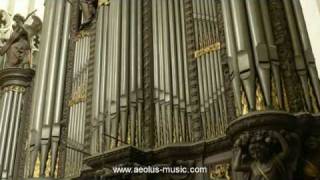 Widor  quotMattheusFinalquot from quotBachs Mementoquot played by Peter Van de Velde Antwerp Cathedral [upl. by Gaul]