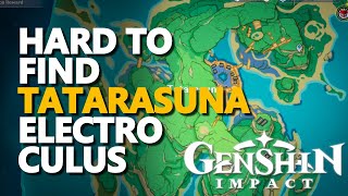 Hard to get Kannazuka Electroculus Genshin Impact Tatarasuna Gate Key [upl. by Dalis]