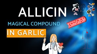 Allicin The Blood Thinner in Garlic Unveiled [upl. by Machos]