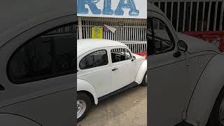 Fusca turbinado [upl. by Terces]