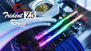 The Ultimate DDR5 Memory Upgrade  GSkill Trident Z5 Royal Unboxing and Review [upl. by Chatwin]