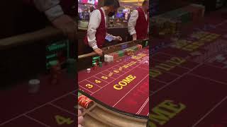 Crapless craps LIVE TABLE ACTION at Ventian Resort Casino Las Vegas [upl. by Nywg]