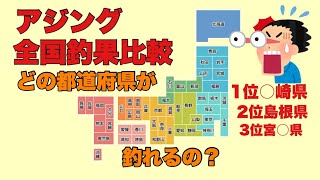 アジングどの都道府県が一番釣れるの？テクより場所です！（ビギナー編） [upl. by Straub649]