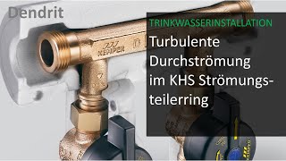 Turbulente Durchströmung in der VenturiströmungsteilerRingleitung [upl. by Bess]