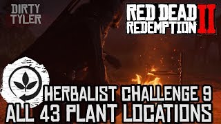 RDR2 All Plant Locations  Herbalist Challenge 9  Red Dead Redemption 2 Guide [upl. by Mauldon]