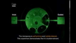 Electromagnetically actuated nozzlediffuser micropump [upl. by Ayouqat152]