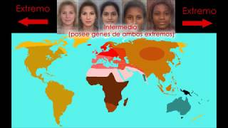 Razas Humanas  el origen de la diversidad racial [upl. by Zitvaa]