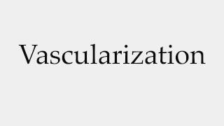 How to Pronounce Vascularization [upl. by Ailecnarf]