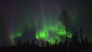 Saturday Night Live Northern Lights in Fairbanks Alaska [upl. by Aidualc791]