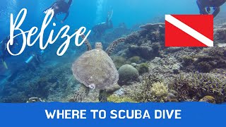 Scuba Diving in Belize  Top 13 Destinations [upl. by Gabby]