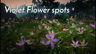 BDO  Violet Flower rotation  Black Desert Online [upl. by Kirby]