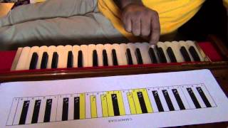 201 Harmonium Lessons for Beginners [upl. by Molton]