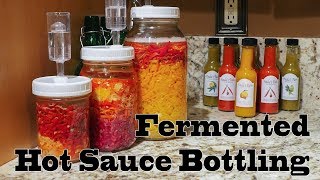 Fermented Hot Sauce Part 2 Blending and Bottling [upl. by Oran]