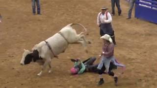 Peewee Bull Riding  2018 Junior Bull Riding National Finals NJBRA [upl. by Ettegirb51]