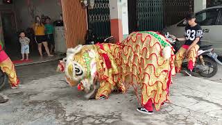 Barongsai lion dance Singkawang 2022 [upl. by Nnylyram]