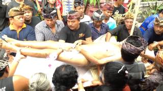 Balinese Ngaben Ceremony  Bathing the Corpse [upl. by Tracay]