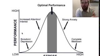 Stress and the YerkesDodson Curve [upl. by Alexandro358]