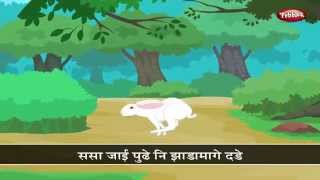 Sasa Toh Sasa  Sasa Ani Kasav  Top Marathi Nursery Rhymes For Kids  Popular Marathi Rhymes [upl. by Annairoc83]