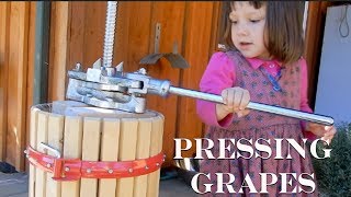 DIY Grape Juice Using a Grape Press [upl. by Anikes]