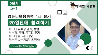 컴활1급실기 20일만에 끝내기 스프레드시트분석작업 5일차51  데이터 유효성 검사 정렬 부분합 통합 목표값 찾기 데이터 표 텍스트 나누기등총13문제 [upl. by Consalve258]