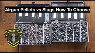 Airgun Pellets vs Slugs How To Choose [upl. by Htehpaj212]