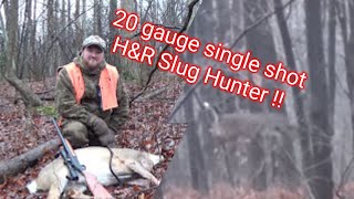 Michigan 2015 Thanksgiving deer with HampR 20 gauge ultra slug hunter [upl. by Brainard919]