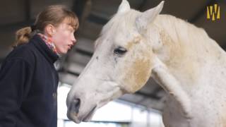 Therapeutisches Reiten in der Diakonischen Stiftung Wittekindshof [upl. by Enelym226]