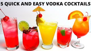 5 Easy Vodka Cocktails [upl. by Eceryt541]