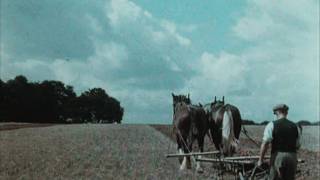 English Harvest 1938 [upl. by Thanh]