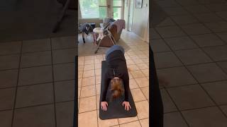 day 11 chloe ting summer shred challenge 2024 [upl. by Euhc]