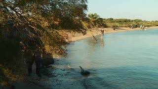 This Game Warden Is Fishing For Flounder Poachers  Lone Star Law [upl. by Nivonod878]