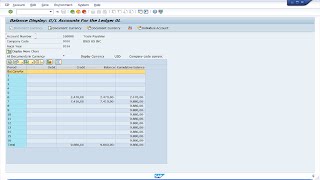 Kofax RPA Data collection from a desktop application SAP [upl. by Euqinot834]