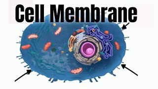 Cell membraneStructure and Function [upl. by Etnovaj]