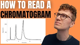 HOW TO READ A CHROMATOGRAM StepByStep Guide For Beginners [upl. by Nrek531]