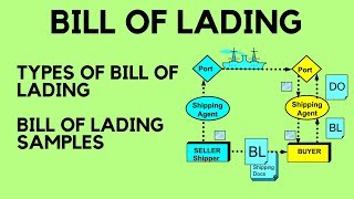 Bill of Lading  Types of Bill of Lading amp Bill of Lading Samples [upl. by Morten640]