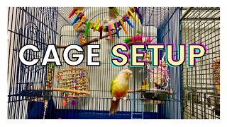 HOW TO SET UP YOUR PARROTS CAGE  Parrot Cage Setup [upl. by Akoyin]