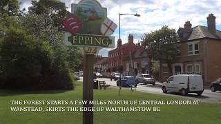 Our Guide to living in Epping [upl. by Krutz]