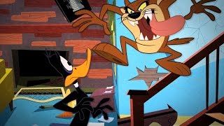 Daffy Duck VS Tasmanian Devil quotTazquot  quotTasmanian Meltdownquot Song HD [upl. by Ahsikram]