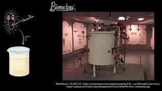 Bioreactors Simple stirred amp sparged  Biotechnology principles  Biology  Khan Academy [upl. by Gnoy]