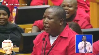 Speaker Dont Say uhuh To Me  Julius Malema [upl. by Bakeman652]