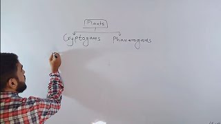 Classification of Plants  class 9  lecture 3 Cryptogams and Phanerogams [upl. by Asiral]