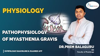 Physiology  Pathophysiology of Myasthenia Gravis  Raaonline physiology pathophysiology gravis [upl. by Edra979]