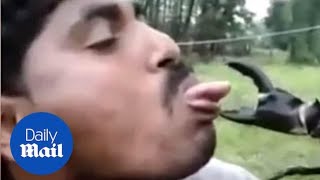 OUCH Man provokes giant crab who snips his tongue [upl. by Nnyre]