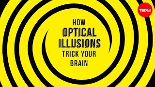 How optical illusions trick your brain  Nathan S Jacobs [upl. by Razaele]