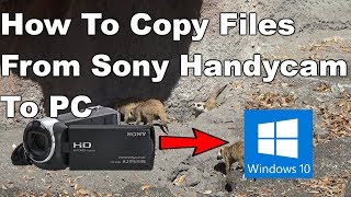 How to copy videos from Sony Handycam to computer [upl. by Jacobine821]