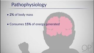 Therapeutic Hypothermia Treatment of Hypoxic Ischemic Encephalopathy Part 1 by D Casey [upl. by Atinus]