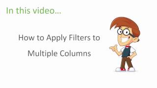 Excel Filters Training  Multiple Column Filters  Part 3 of 3 [upl. by Inalak984]